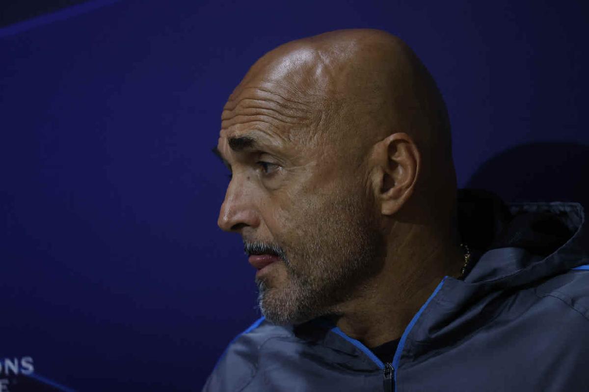 Napoli-Rangers, Spalletti's probable choices: 5 changes compared to Rome, there are Simeone and Ostigard 3