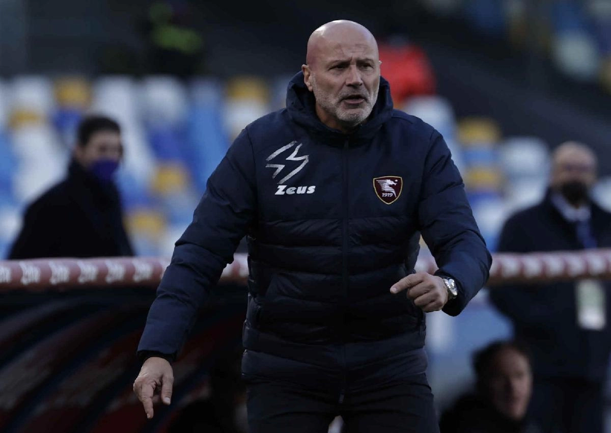 Colantuono Salernitana sostituto