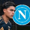 Zeballos-Napoli, blitz Bologna nella notte: <i>rebus</i> Conte, ecco la posizione degli azzurri