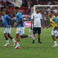 &Egrave; facile prendersela con i senatori del Napoli. Se Spalletti, Conte ed Allegri non ci rinunciano, la domanda da farsi &egrave; un'altra
