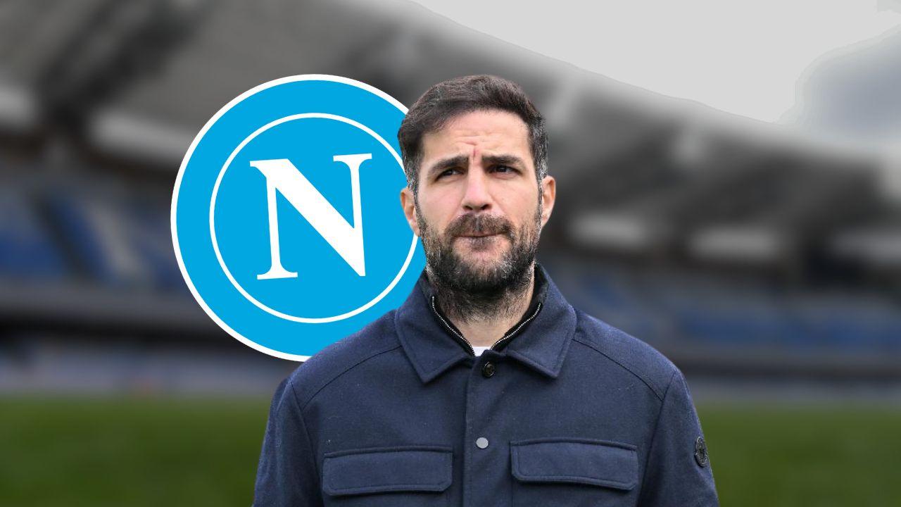 Di Vicino: Fabregas? Sarebbe un ottimo sostituto di Conte"