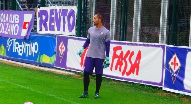 Sepe e Valdifiori, l'agente: Gigi farà almeno 20 presenze con la Fiorentina. Mirko soffre il ritiro, la concorrenza di Jorginho è positiva