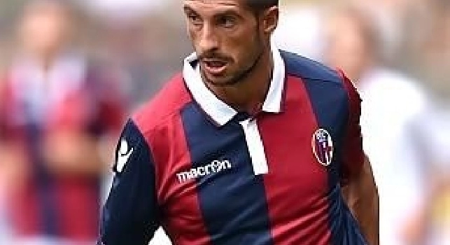 Bologna-Napoli, nell'undici ufficiale di Donadoni escluso Giaccherini. Occhio al duello Brienza-Jorginho