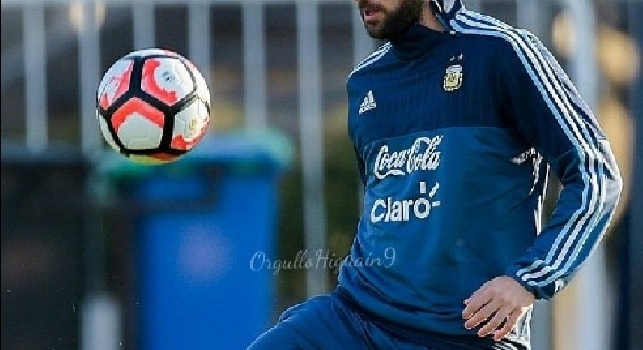 FOTOGALLERY - Coppa America, Higuain si allena con la maglia dell'Argentina