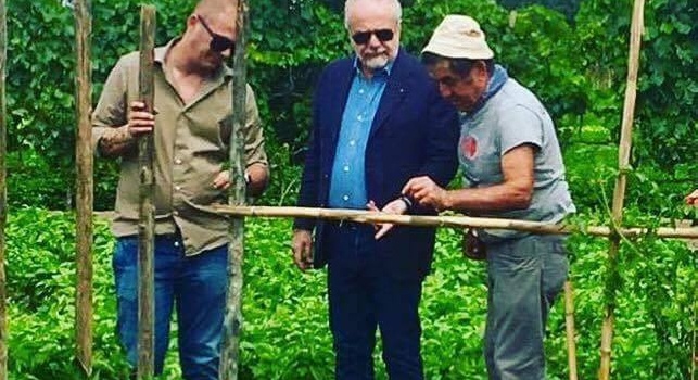 De Laurentiis sceglie i prodotti da servire a tavola a Dimaro, prenotati quintali di pomodori San Marzano [FOTOGALLERY]