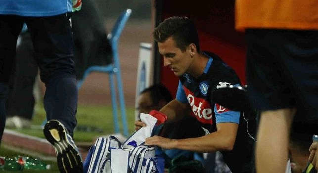 Arkadiusz Milik, noto anche con il diminutivo Arek, &egrave; un calciatore polacco, attaccante del Napoli e della nazionale polacca