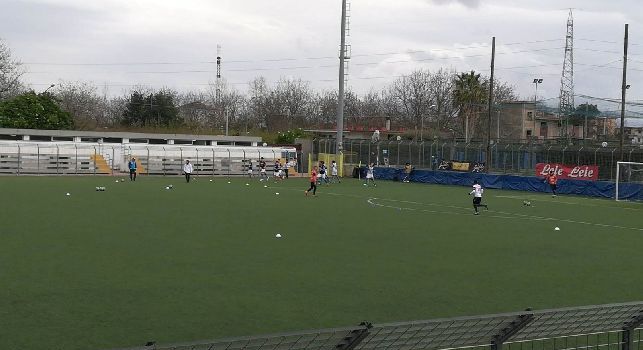 Primavera, Riela (Fiorentina): 