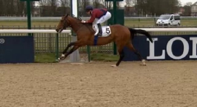 Bella notizia per Ancelotti: il suo cavallo Pittore vince per la 7° volta in carriera a Cagnes sur Mer