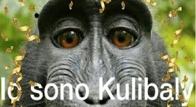 “Io sono Koulibaly” con l’immagine di una scimmia: vergogna da Verona, auguri 'razzisti' dagli ultras dell'Hellas [FOTO]