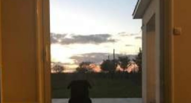 Anche Nala ti aspetta, il cane di Sala in attesa sull'uscio della porta [FOTO]