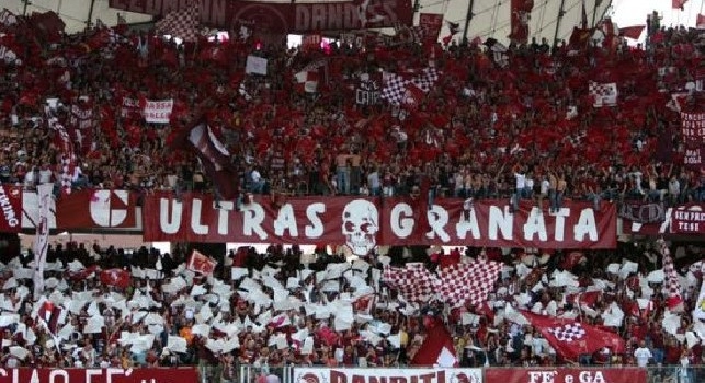 tifosi torino