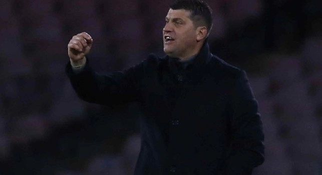Stella Rossa, Milojevic: Ho gi&agrave; incontrato Klopp, Ancelotti e Tuchel! Non abbiamo paura di nessuno