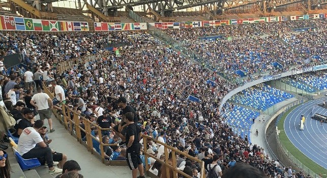 Napoli-Sampdoria, buona cornice di pubblico: il dato degli spettatori e dell'incasso