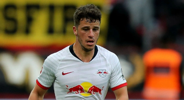 Diego Demme &egrave; un calciatore tedesco, centrocampista del Napoli
