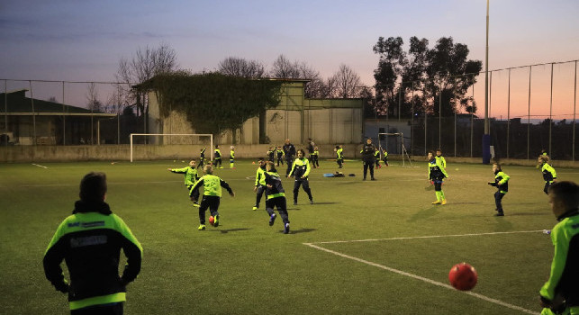 SSC Napoli lancia la promozione <i>Tribuna Young</i>: aperte le porte del San Paolo alle scuole calcio