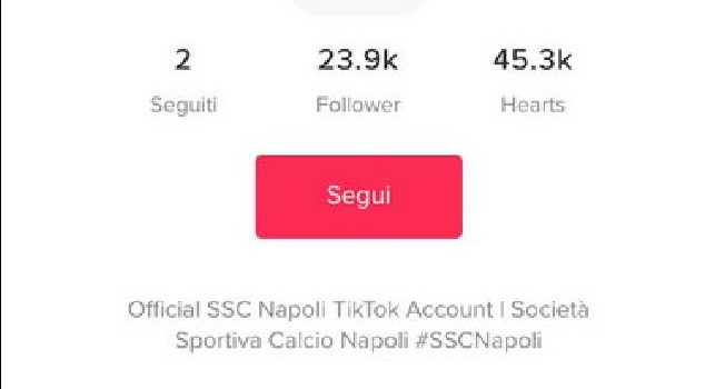 Napoli su TikTok, 23mila followers in un solo giorno: che successo per gli azzurri! [FOTO]