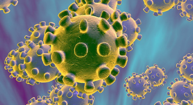 Coronavirus, più di cinque milioni di contagi e 342.000 decessi nel mondo