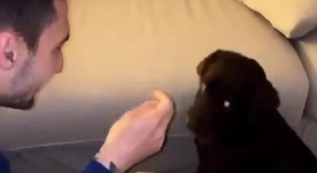 Politano gioca con il suo labrador, prosegue la permanenza forzata a casa [VIDEO]