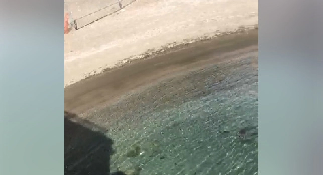 Coronavirus Napoli, l'inquinamento scompare: acqua di Posillipo cristallina e lungomare desolato [VIDEO]