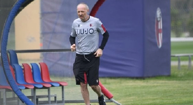 Bologna, Mihajlovic: Ibra non rimarr&agrave; al Milan, l'anno prossimo con noi o in Svezia