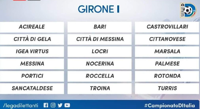 Serie D non ripartirà, promosse anche Turris e Palermo nei professionisti