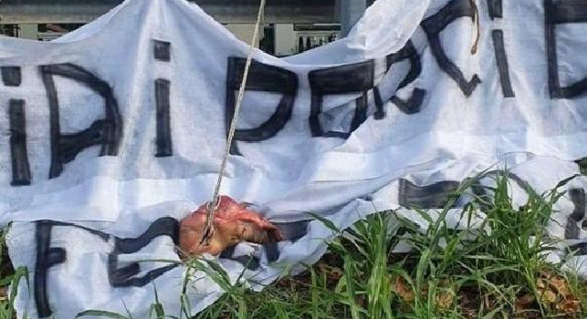 SPAL, testa di maiale e striscione in città: Via i porci da Ferrara