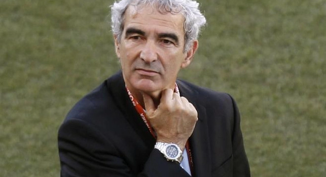 Raymond Domenech