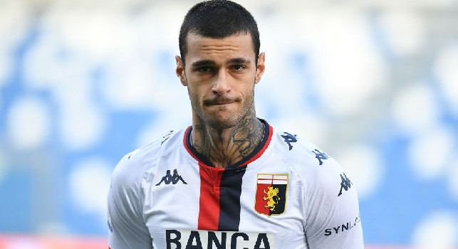 Scamacca