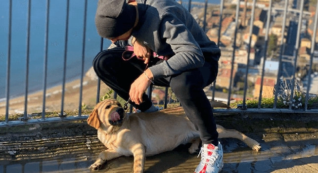 Fabian Ruiz, giornata libera per gli azzurri: Godendomi il sole e la bellezza di Napoli [FOTO]