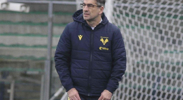 Verona, Juric: Io nuovo allenatore del Napoli? Ecco cosa penso