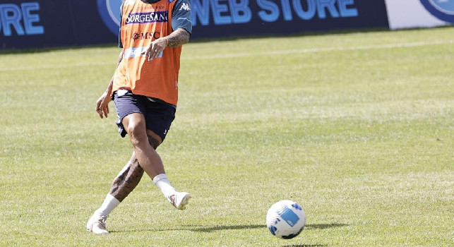 Cremonese, il ds: Gaetano può giocare in 4 ruoli diversi: ma nessun discorso col Napoli. Zanoli? Sono sempre interessato