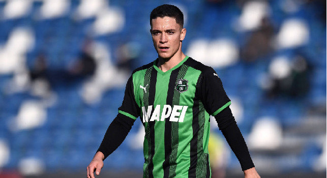 Rai - Raspadori-Napoli background, Sassuolo refuses three blues!  ADL asks for a two-year loan: there is a dead line