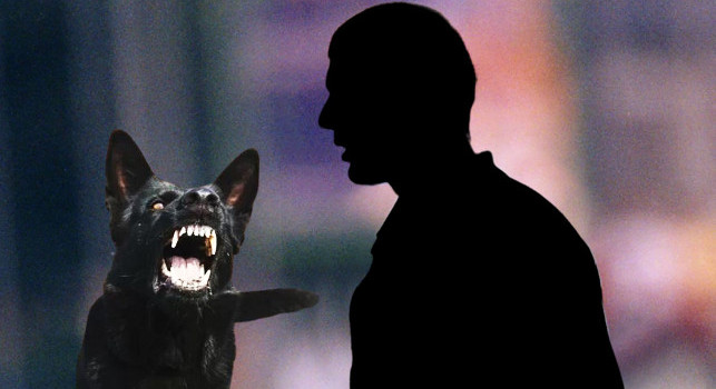 Calcio mondiale sotto shock, la leggenda africana sbranata dai suoi cani: è morto