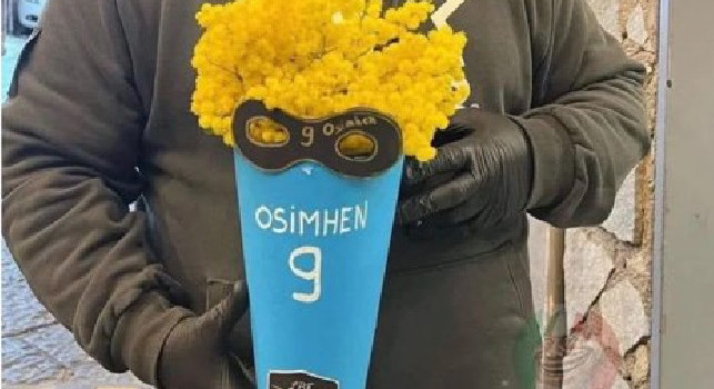 Mimose