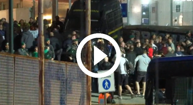tifosi inglesi