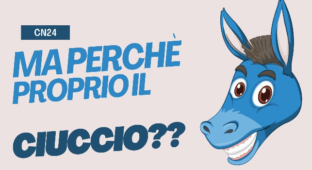Ciuccio Napoletano
