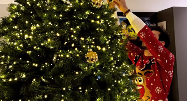 È già Natale in casa Kvaratskhelia: lui e Nitsa montano l'albero | FOTO