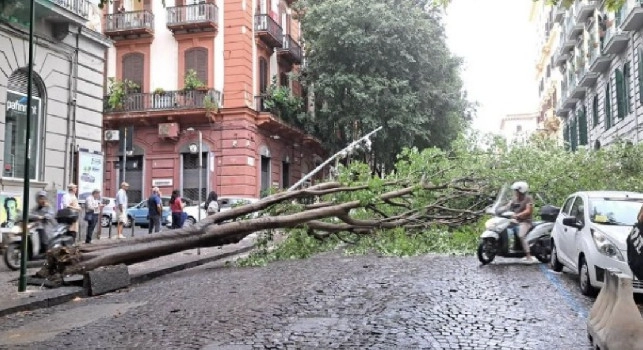 Via Bernini, Vomero