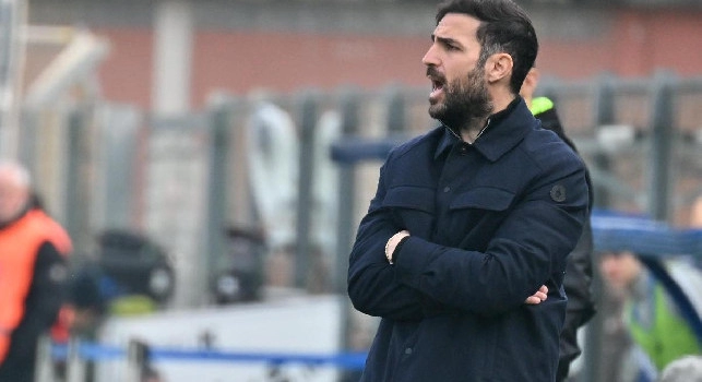 Le formazioni ufficiali di Como-Torino: le scelte di Fabregas e Baroni