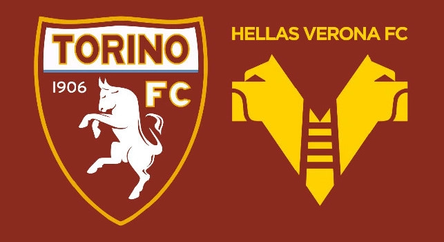 Formazioni ufficiali Torino-Verona: le scelte di Vanoli e Zanetti