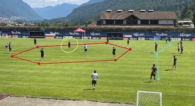 L'<i>esagono</i> di Conte: Lobotka <i>centro di gravità</i>, le posizioni di De Bruyne e terzini | GRAFICO