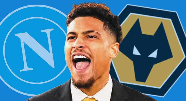Romano: Joao Gomes-Napoli, chance con la retrocessione del Wolverhampton! Ci sono altri interessamenti, i dettagli