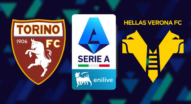Formazioni ufficiali Torino-Verona: le scelte di D'Aversa e Sammarco