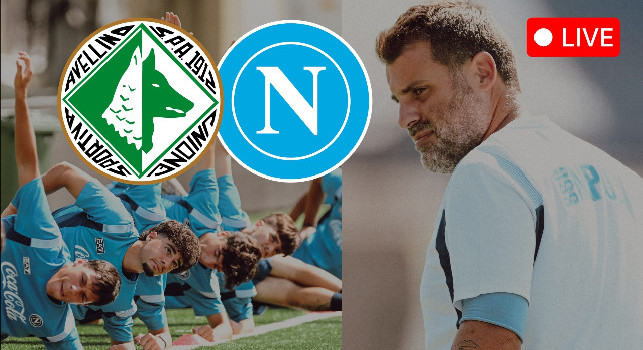 Primavera 2 Avellino-Napoli, in diretta su CalcioNapoli24 TV dalle 14:40