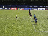 Foto di Ciro De Luca per CalcioNapoli24